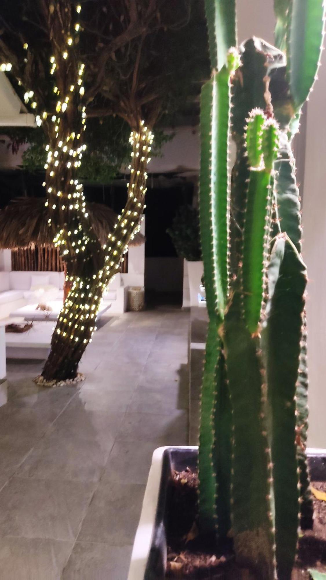 Rincon Del Mar Veleros Hotel San Onofre 외부 사진