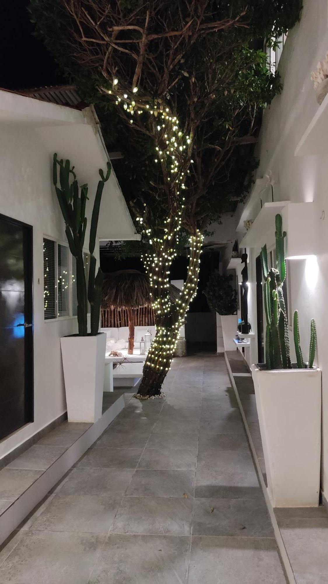 Rincon Del Mar Veleros Hotel San Onofre 외부 사진
