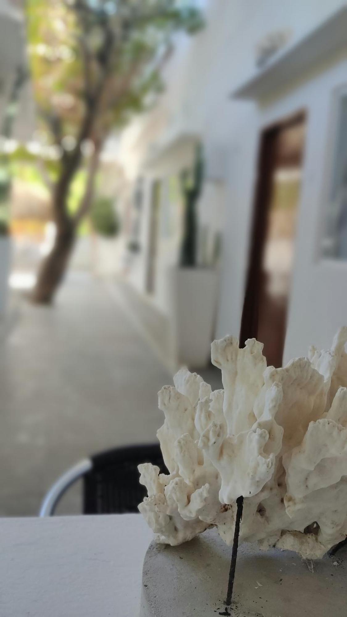 Rincon Del Mar Veleros Hotel San Onofre 외부 사진